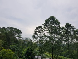 Eco Sanctuary (D23), Condominium #175095862